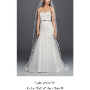 David’s bridal Wedding Dress